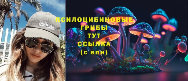 PSILOCYBIN Верхний Тагил